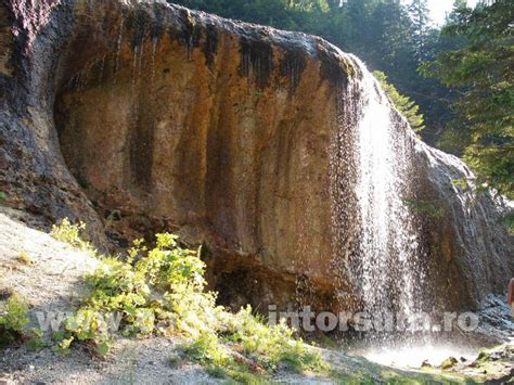 obiective turistice vama buzaului|LA CASCADA URLATOAREA SI REZERVATIA DE ZIMBRII DIN。